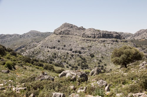 Weg nach Cortes de la Frontera