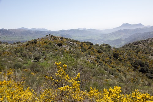 Auf dem Weg nach Cortes de la Frontera