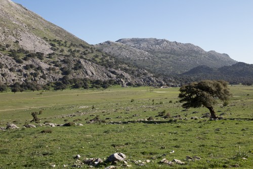 auf dem Weg nach Cortes de la Frontera