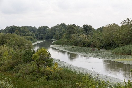 Der Theiß-See