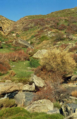 Ein Tal in der Serra Nevada