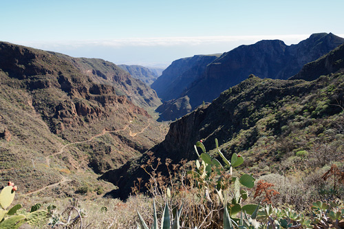 Blick in Barranco de Guayadeque