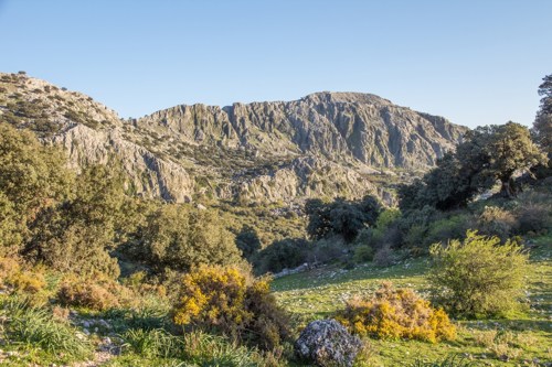 der Weg nach Grazalema