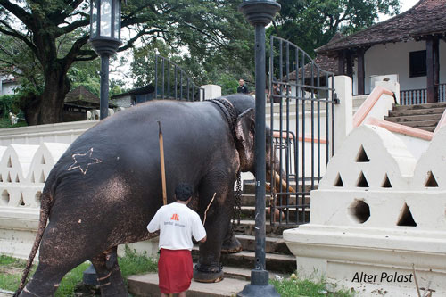 Alter Palast in Kandy