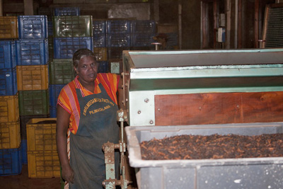 Teefabrik in Kandy