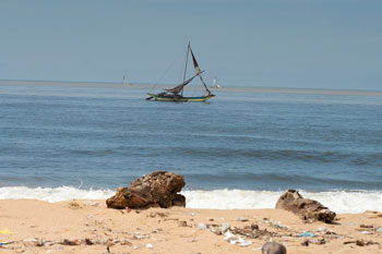 Negombo am Strand