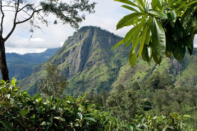 Blick auf den kleinen Adamspeak