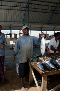 Der Fischmarkt in Negombo