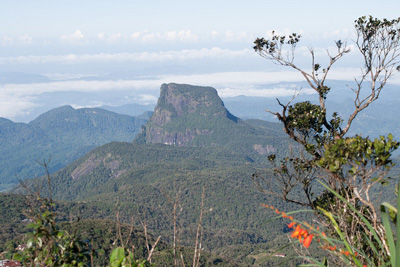 adamspeak_abstieg