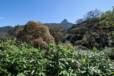 Blick auf dem Adamspeak