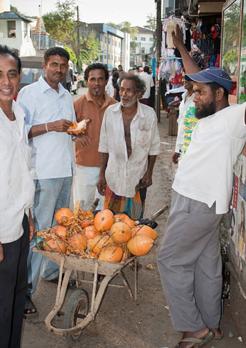 Kokusnuss verkaeufer in Ratnapura