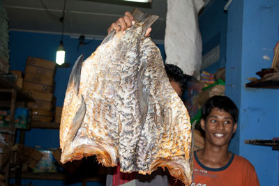 Fischverkaeufer in Ratnapura