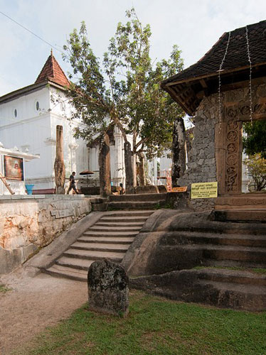 der Tempel Maha Vihara