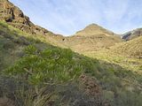 Barranco de la Guancha