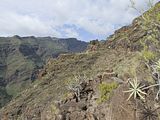 Barranco de la Guancha