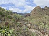 Barranco de la Guancha