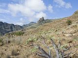 Barranco de la Guancha