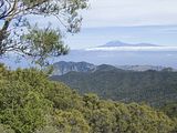 Auf der Wanderung von El Cedro zum Garajoney 1484m (Hintergrund Teide)