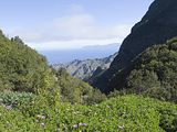 Auf der Wanderung von El Cedro zum Garajoney 