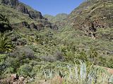 Barranco de Santiago