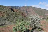 Gran_Canaria.61