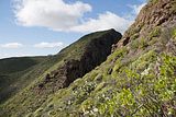Gran_Canaria.60