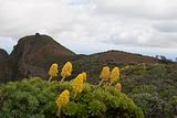 Gran_Canaria.59