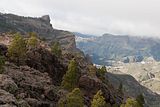 Gran_Canaria.58