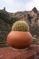 Gran_Canaria.55