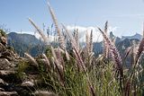 Gran_Canaria.33