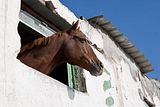Gran_Canaria.31