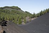Gran_Canaria.27