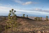 Gran_Canaria.9
