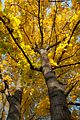 46_Naturmotiv