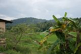 Zugfahrt nach Kandy