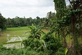 Zugfahrt nach Kandy