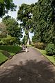 Botanischer Garten in Kandy