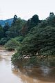 Botanischer Garten in Kandy