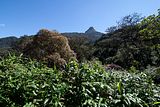  Adams Peak nach Ratnapura