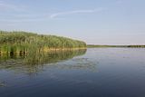 Tisza-See