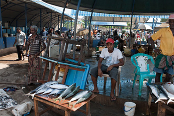 Fischmarkt in Negombo
